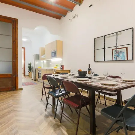 Apartment Great Spacious In The Gothic Quarter Barcelona