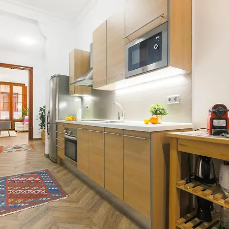 Appartamento Great Spacious In The Gothic Quarter Barcellona