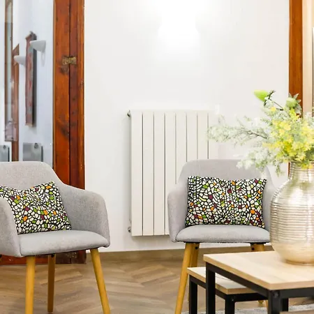 Great Spacious In The Gothic Quarter Barcelona